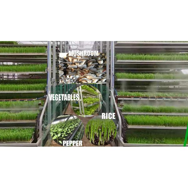 China Upward Circulating Rice Seedlings Cultivating Machine For 20 Acres Transplanting factory