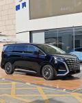 Byd Tengshi Denza D9 2024 EV 620KM Premium 5-Door 7-Seater MPV