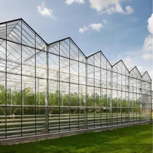 China Tempered 4mm Greenhouse Glass for Agriculture for Exporting factory