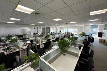 JINSP Company Ltd.