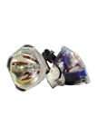 Phoenix SHP307OB Projectors Bulbs For ELPLP71 ELPLP74 ELPLP75 ELPLP78 ELPLP79