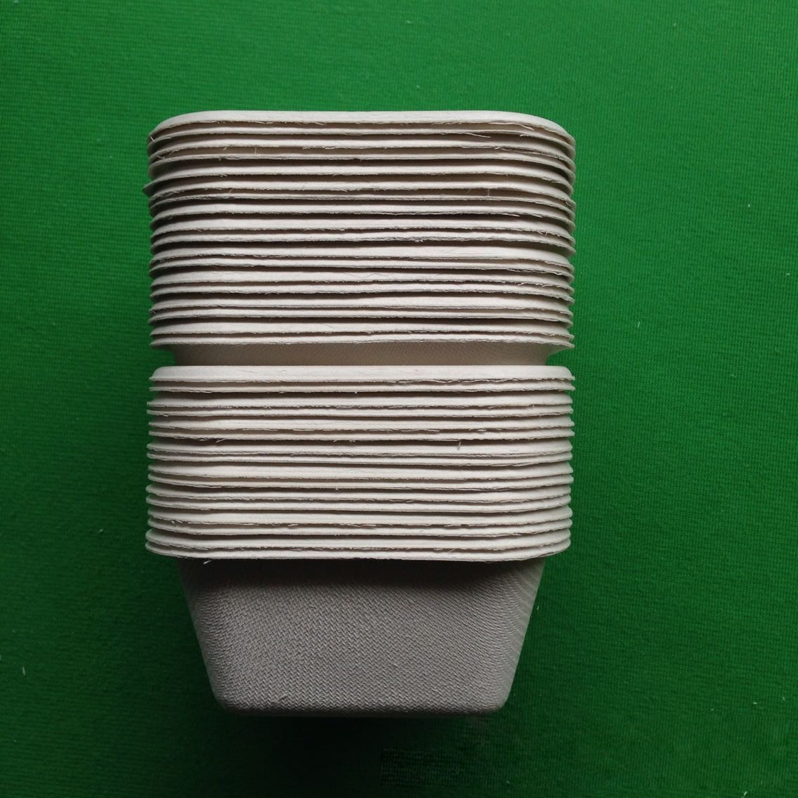 biodegradable eco-friendly dinnerware sugarcane square shaped food tray