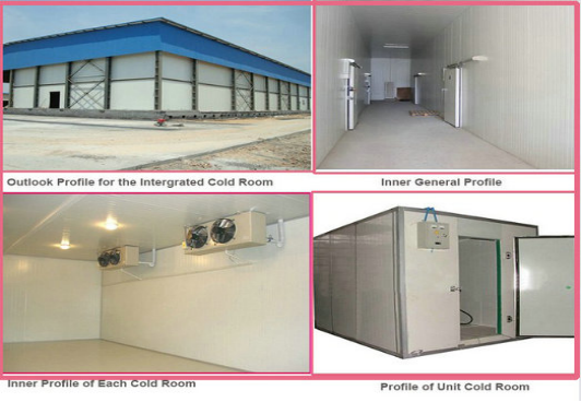 Large Span Pre Engineered Steel Warehouse Prefabricated Steel Structure Cold Room Storage