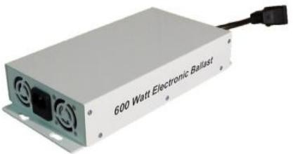China Electronic Ballast 1000w /600w  Plant lighting Low Price High Quality factory