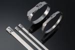 Heavy Duty Stainless Steel Cable Ties Self Locking 10 Inch Zip Ties 50pcs / Pkt