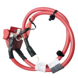 China Car Accessories OE 61129253111 XINLONG LION Positive Battery Cable for BMW 1 Series F20 factory