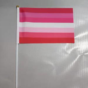 China Printed Double Sided Pride Flag Hand Held 100% Polyester Material factory