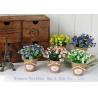 Buy cheap High Quality Potted Plants from wholesalers