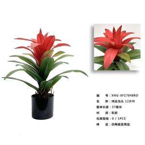 China Texture Fidelity Artficial Guzmania Lingulata Fake Bonsai Plants 37 CM 60 CM 73 CM factory