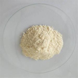 China Pharmaceutical Grade Anti Cancer Galangal Powder factory