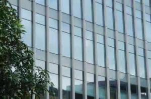 China Insulated Glass Curtain Wall Office Building Customized Design factory