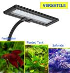 Saltwater 10 Gallon Fish Tank RGB Aquarium Light