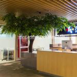 Green Leaves Happiness Artificial Evergreen Trees Ten Years Life Time