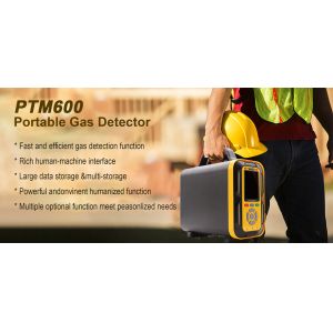 PTM600 AQI Portable Gas Monitor Gas Detection Continuous Air Quality Detection