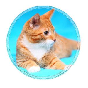 China Natural Rubber Round Drink Coasters Modern Style Pattern Design factory