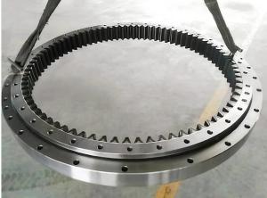 China 109-00162 Slewing Bearing Slewing Ring Excavator DH225-7 DX225 factory