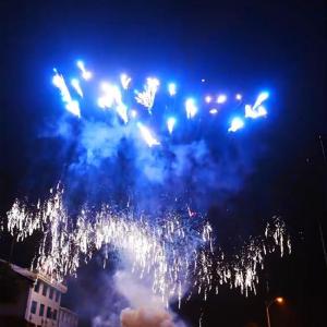 China Mandarin Professional Display Fireworks Cake 100 Shots 1.3G Pyrotechnics Fireworks &amp; Firecrackers factory
