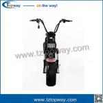 Fat tyre electric scooter 60V 1000W halley two wheels citycoco