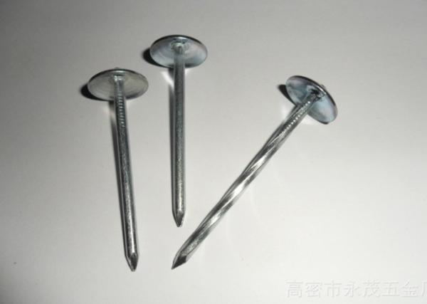 Umbrella Head Galvanized Roofing Nails , Twisted Shank And Plain Shank Roofing