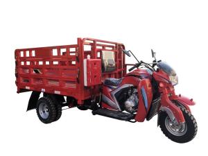 China Adult 250CC Cargo Tricycle Open Body Type 1700 * 1250mm Drum Brake 60km/H Max Speed factory