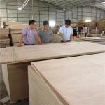 Okoume Face Back Poplar Core 3mm Gaboon Marine Plywood
