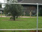 Chain wire fence protects and decorates garden and sports yard