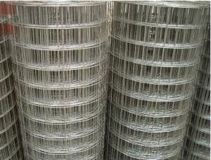 China 8mm 1 Inch By 1 Inch Electro Galvanised Welded Wire Mesh factory