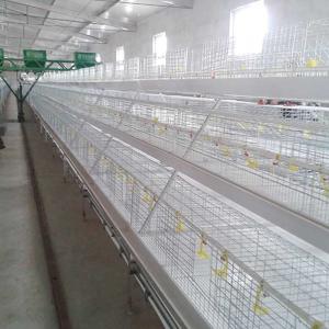 China 1.4m × 0.7m × 0.4m Battery Type Cage , Auto Drinking Layer Farming Cage factory