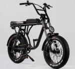 20" Big Fat Tire City Commuter Ebike Beach City Downtown 36v 10ah 350w