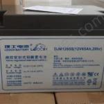 LEOCH DJM1265S Valve Regulated Vrla Agm Battery Rechargeable Deep Cycle 12V 65AH