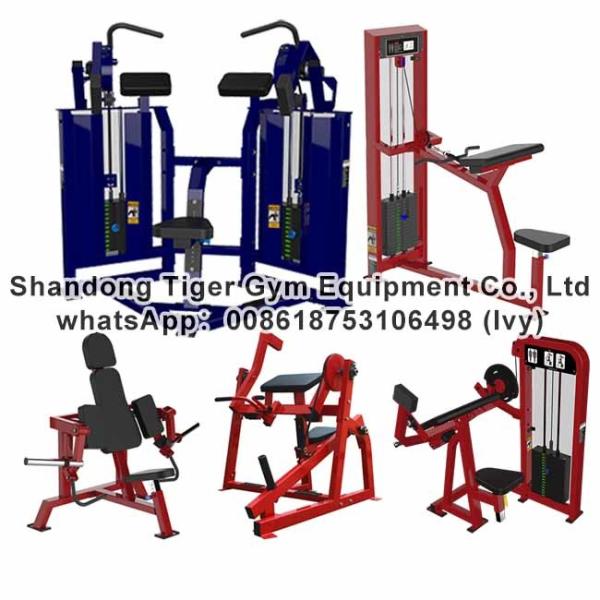 Gym Fitness Equipment Iso-lateral biceps machine / Seated Biceps /Biceps Curl
