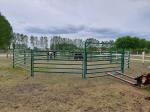 Animal Farm Livestock Galvanized Pipe Corral Panels For Horse Cattle Cow Goat