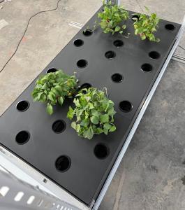 China 5ft*15ft Cannabis Aeroponics Growing System 40pcs Holes For Vertical Rack factory