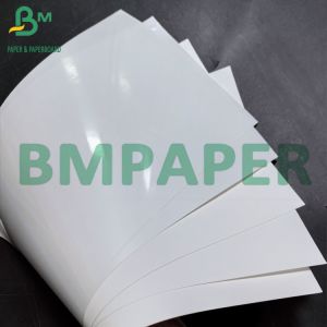 One Side Coated Thermal Synthetic Paper Hot Melt Thermal PP Sheets Paper