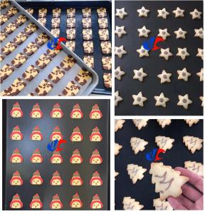 China Stainless Steel Cookie Encrusting Machine 100 - 120pcs/Min Cookies And Biscuit Froming Machine factory