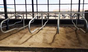 China Anti Corrosion Free Stall Barn factory