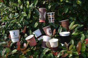 China Hot Coffee Cups factory