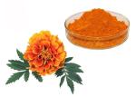 Natural Pigment Xanthophyll Marigold Flower Herbal Extract Powder