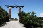 Decorative Cast Bronze Sculpture , Eagle Eye Contemporary Bronze Sculpture
