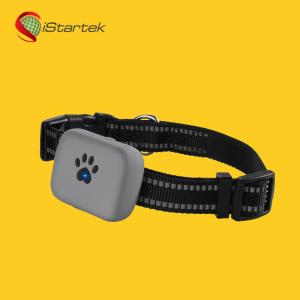 China 2020 new products indoor home personal chips pet dog collar mini gps tracker child tracking pendant factory