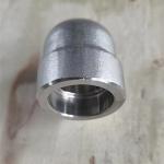 Sch160S Forged Steel Threaded Fittings DN15 3000 Socket Welded