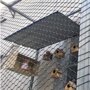 China 2mm Hand Woven Stainless Steel 306l Wire Rope Mesh Zoo Fence Mesh factory