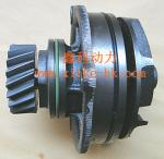 Italy IVECO diesel engine parts，Iveco generator accessories，fuel filter for