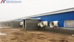 Insulation Fireproof Piggery Shed Poultry Farm Shed Building