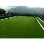 50mm Height Garden Artificial Grass Roll Recycled Eco - Friendly