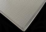 Food Grade Stainless Steel Perforated Metal Mesh Drying Trays