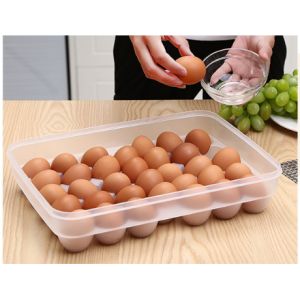 Multi Specification Plastic Injection Tooling Plastic Egg Box Mould