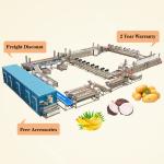 1500w Automatic Apple Banana Chips Making Plant Plantain Chips Production Line