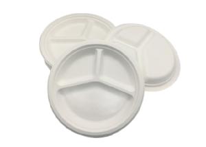 China 10&quot; 3 Compartment Strong Dinnerware Bagasse Paper Plates factory
