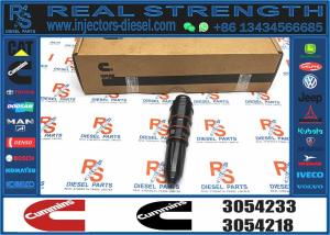 China injector 3054233 fuel injector factory